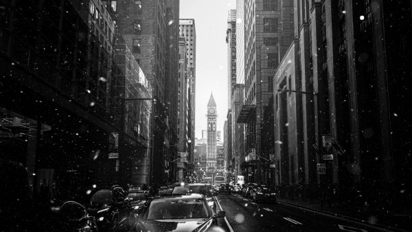 Черно белые машины в городе