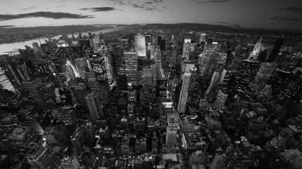 Нью-Йорк Сити чб