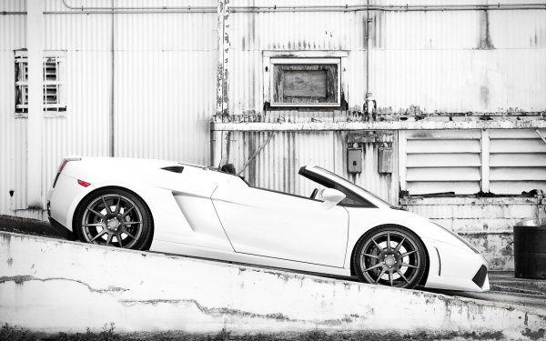 Фотообои Lamborghini Gallardo