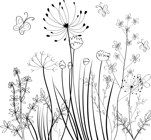 Графическое изображение растений