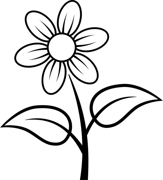 Раскраска цветы маленькие