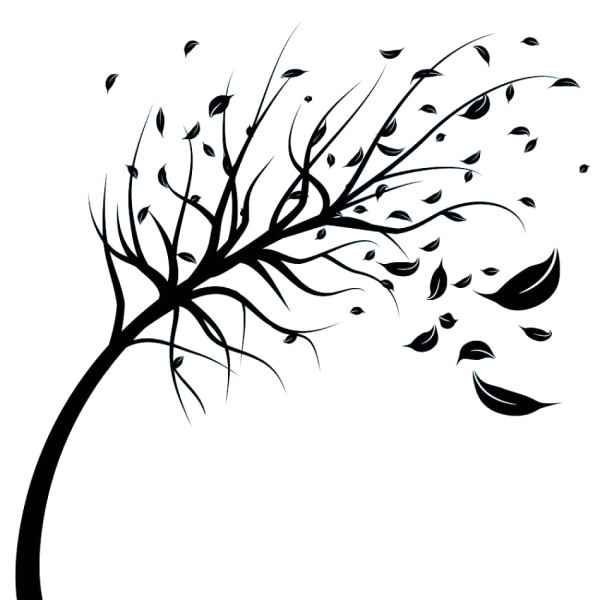 Ветка силуэт