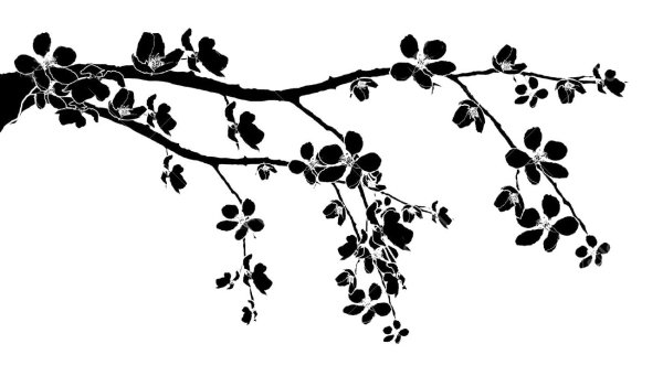 Ветка с листьями силуэт