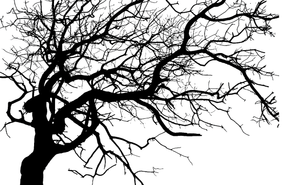 Силуэт дерева
