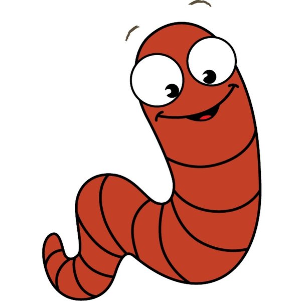 Червячок червячок червячок червячок