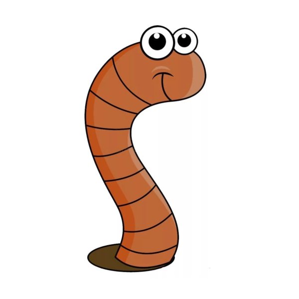 Веселый червячок