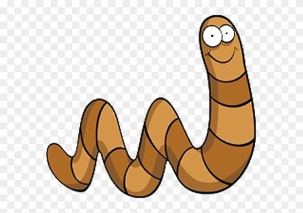 Веселый червяк