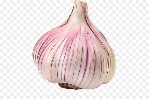 Чеснок один