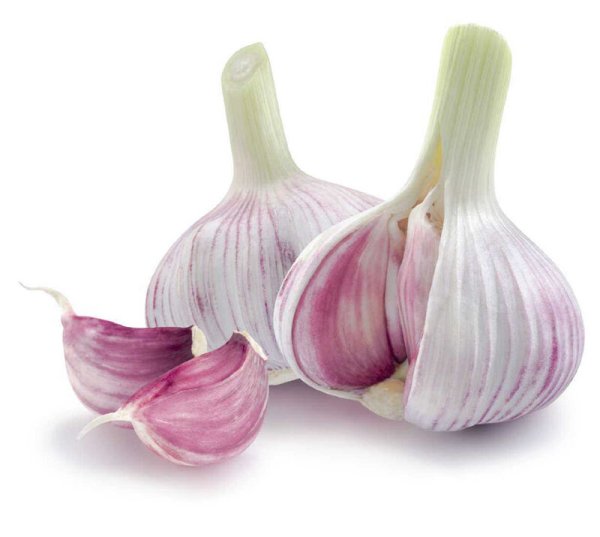 Чеснок на белом фоне
