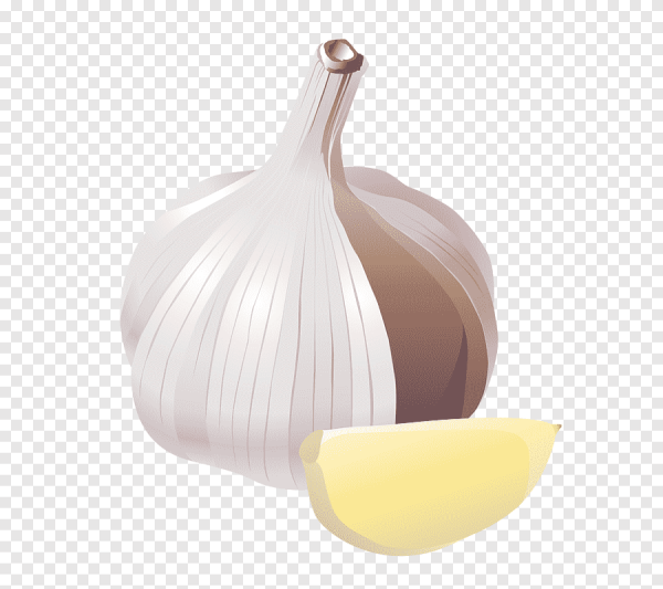 Чеснок картинка для детей на прозрачном фоне