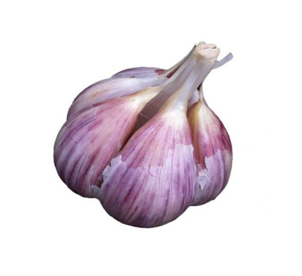 Чеснок без фона