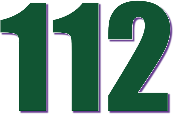 Цифра 12 зеленая