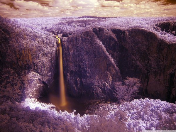 Необычная природа