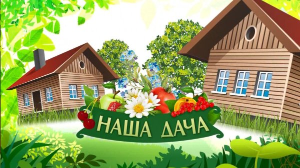 11 Канал Пенза наша дача