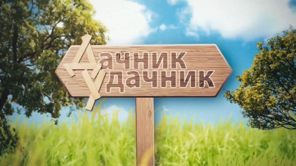 Дачник вывеска