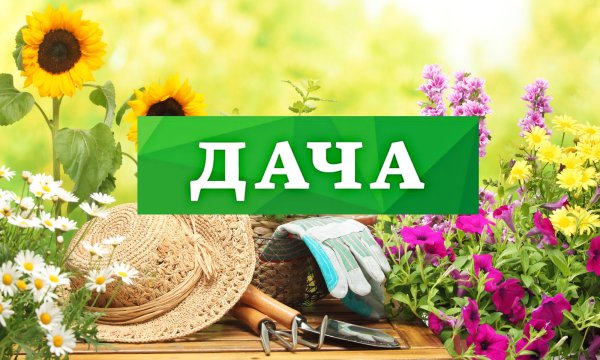 Моя дача надпись