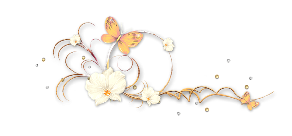 Цветочные виньетки на прозрачном фоне