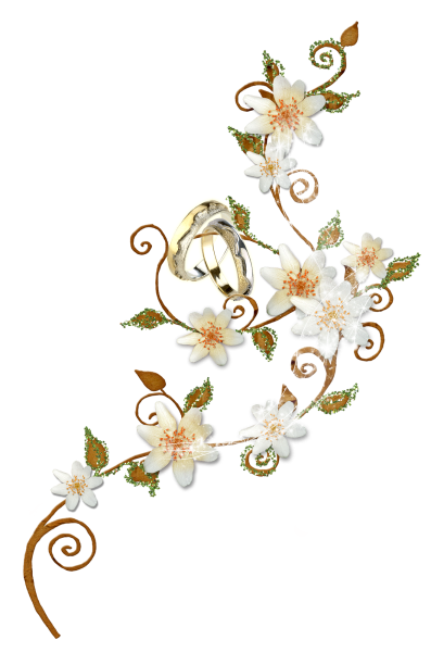 Цветочные элементы на прозрачном фоне