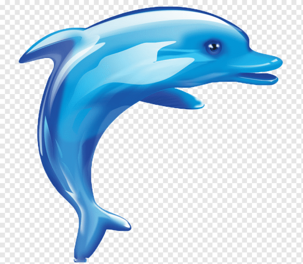 Дельфин мультяшный