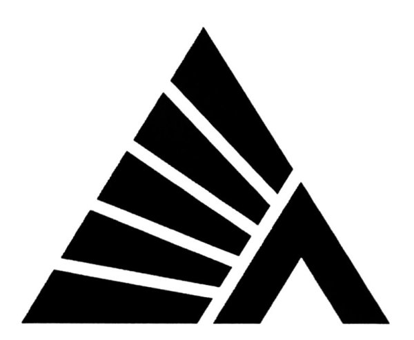 ТК Деловые линии значок