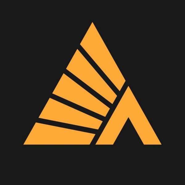 ТК Деловые линии значок