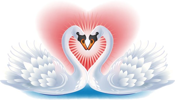 Лебеди сердце