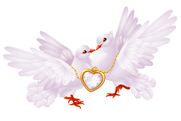 Свадебные голуби