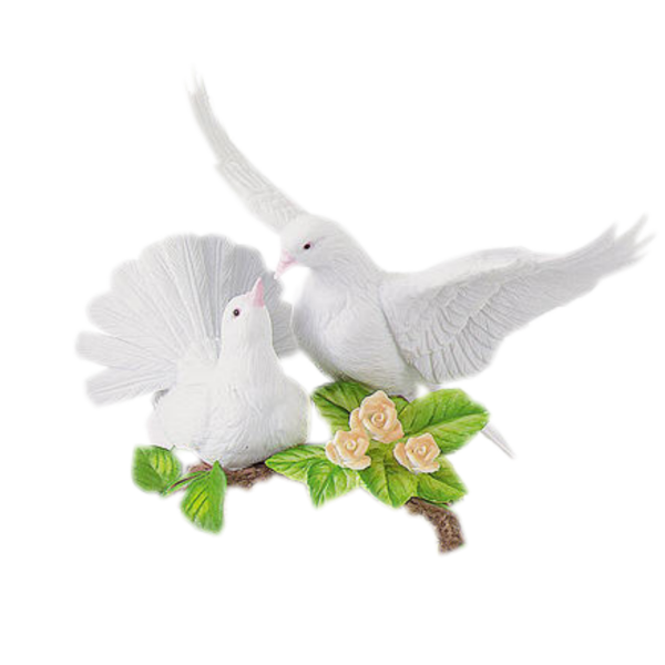 Свадебные голуби на прозрачном фоне