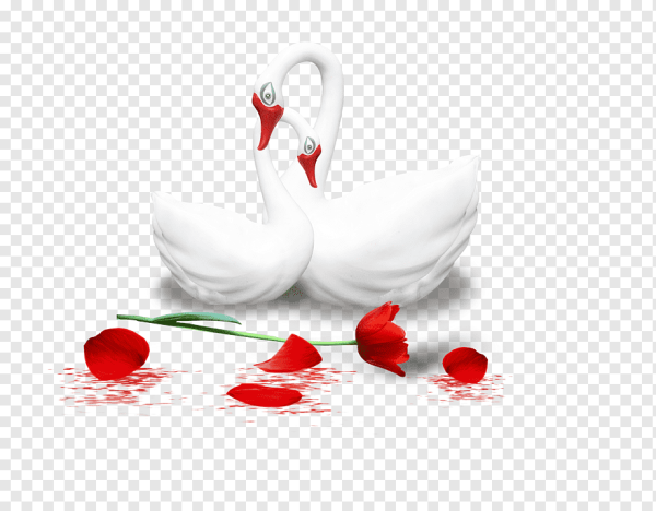 Клипарт романтический