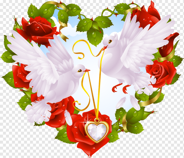 Свадебные голуби