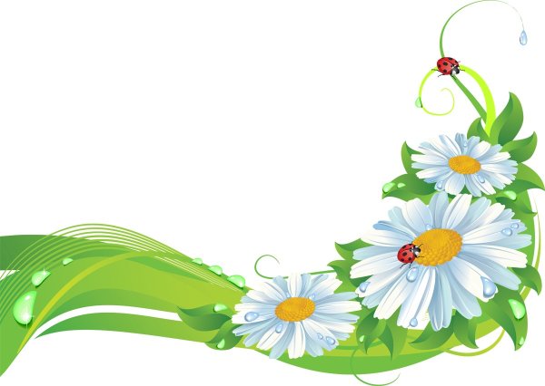 Ромашка клипарт