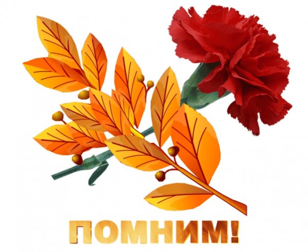 Гвоздика символ Победы