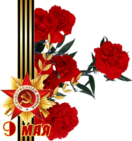 Гвоздики 9 мая