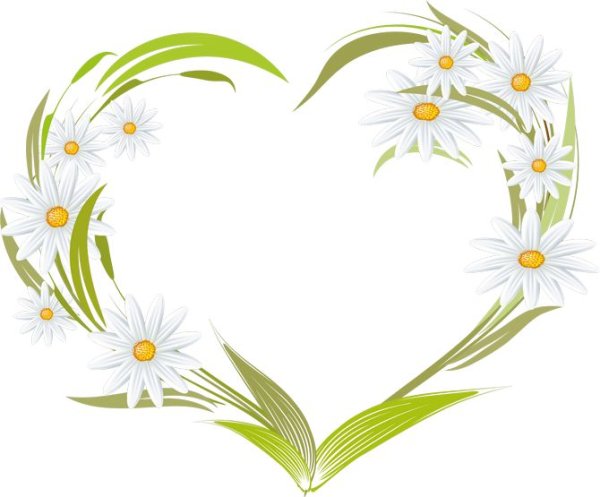 Рамка из ромашек для фотошопа