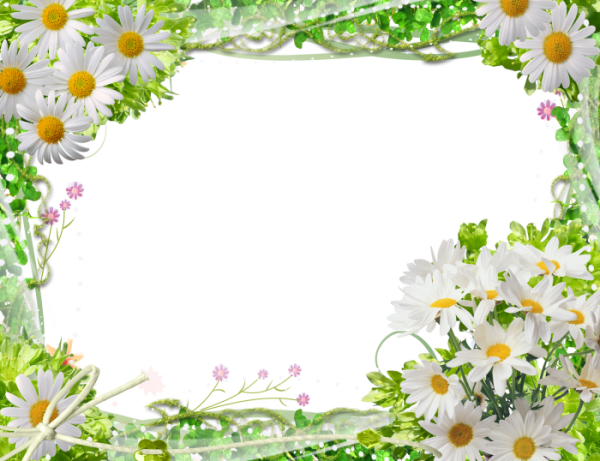 Рамочка с ромашками