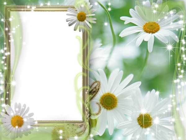 Рамочки для фотошопа с ромашками