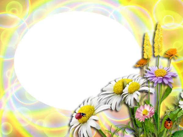 Рамка ромашки детская
