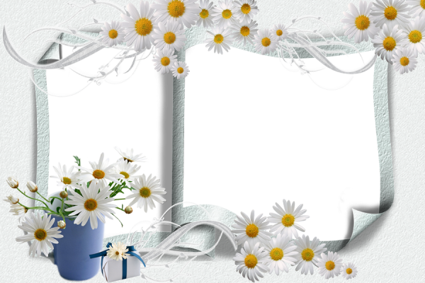 Рамки для фотошопа ромашки