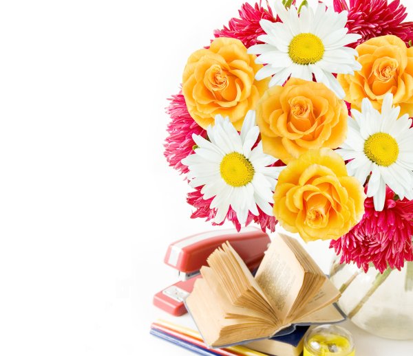 Цветы для учителя на день рождения