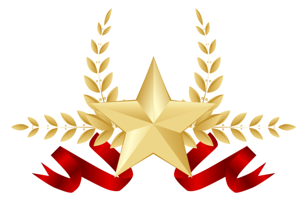 Звезда 23 февраля