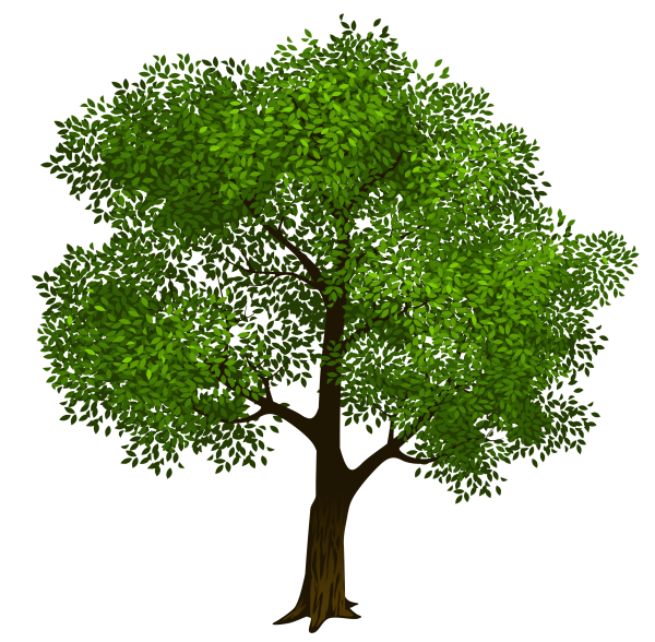 Дерево клипарт