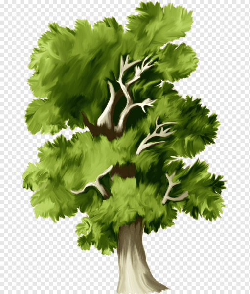 Дерево сказочное на прозрачном фоне