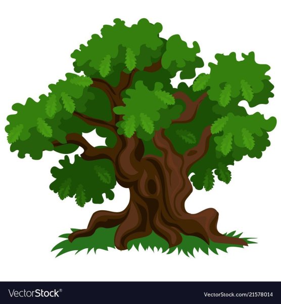 Дерево с дуплом