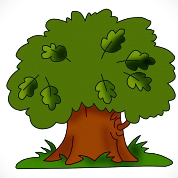 Дубок дуб дуб Дубок