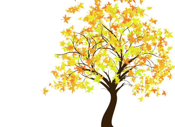 Листья деревьев