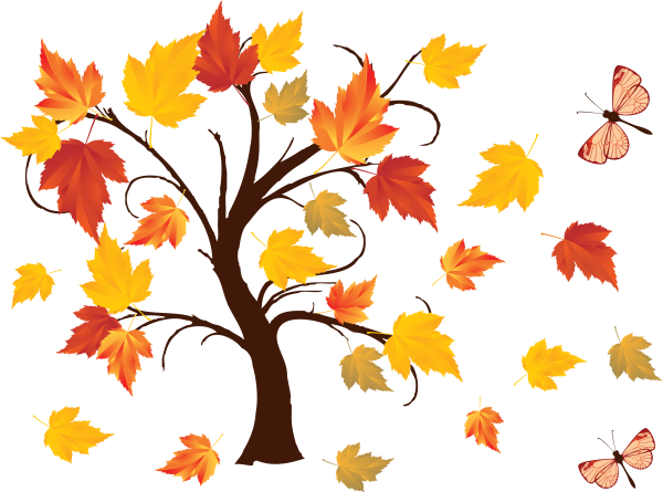 Клен мультяшный