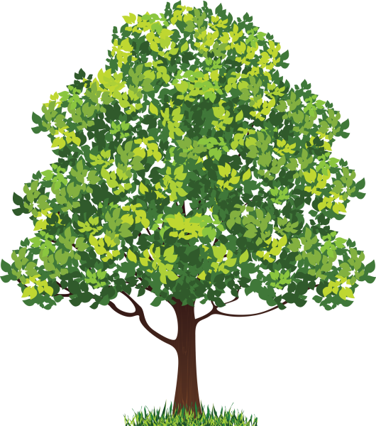 Neem Tree вектор