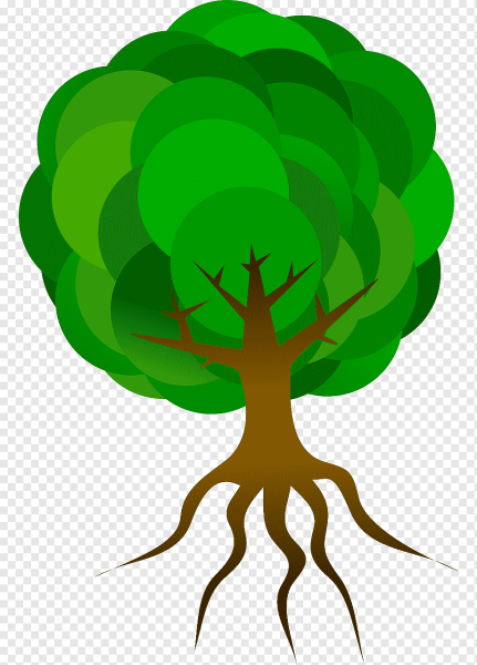 Дерево с корнями без фона