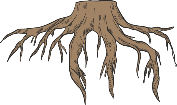 Пень с корнями