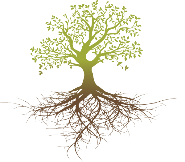 Древо жизни с корнями